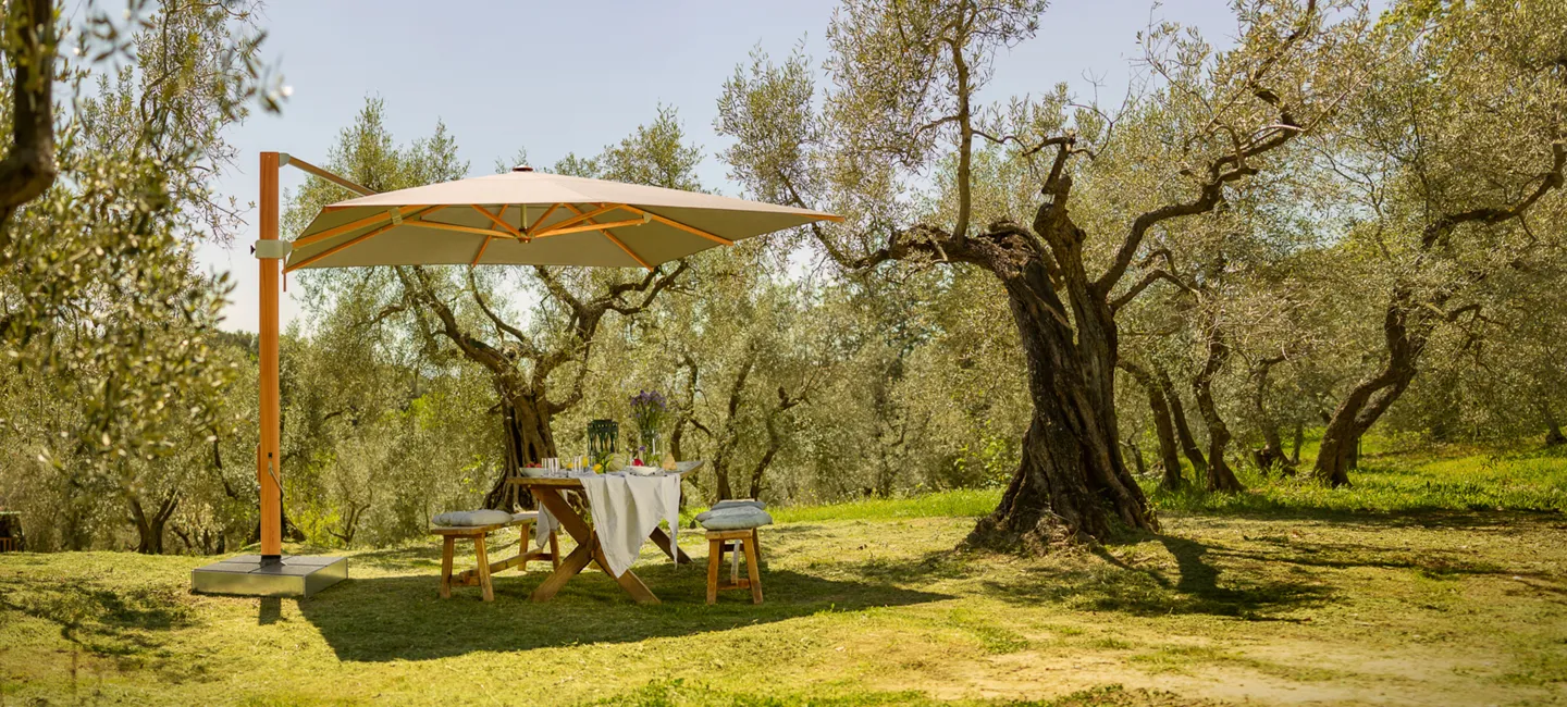 imagepicture_aura_2019 (1)-2